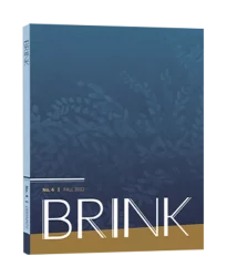 BRINK issue 4